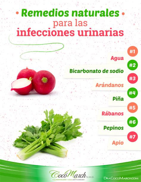 7 Remedios Caseros Para Tratar Infecciones Urinarias Dra Cocó