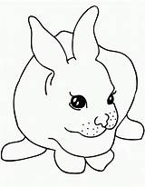 Rabbit Coloring Pages Clipart Bunny Printable Cute Rabbits Baby Template Outline Kids Color Face Bunnies Line Craft Animal Cliparts Colouring sketch template