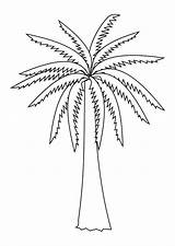 Palm Date Coloring Pages Print sketch template