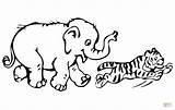 Tigre Olifant Elefante Cub Kleurplaten Tijger Schattige Dieren Printen Speelt Cachorro Olifanten Tijgers Scribblefun sketch template