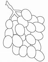 Grapes Grape Colorluna sketch template