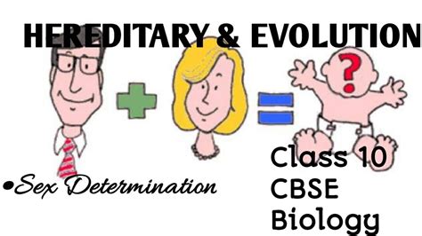 sex determination chapter 9 heredity and evolution class 10 cbse