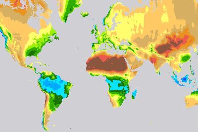 average annual rainfall