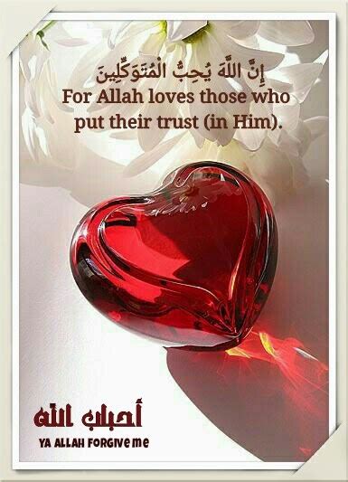 islam allah loves them