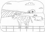 Coloring Cows Onlinecoloringpages sketch template