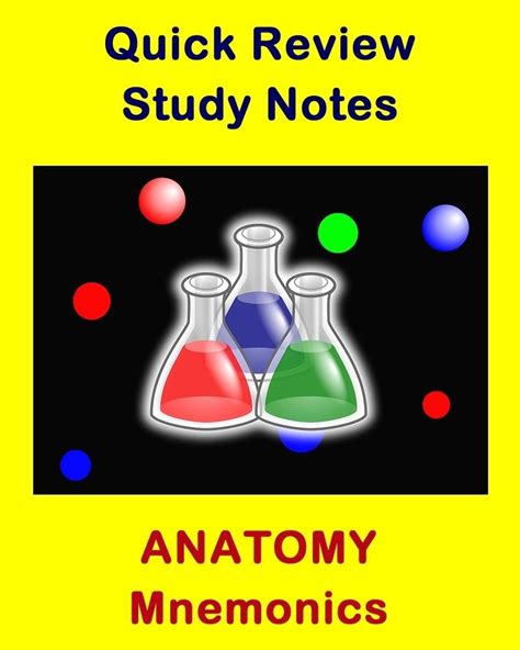 anatomy mnemonics  health sciences students  educators science