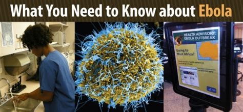 cdc highlights what you need to know about the ebola virus — conejo valley guide conejo valley