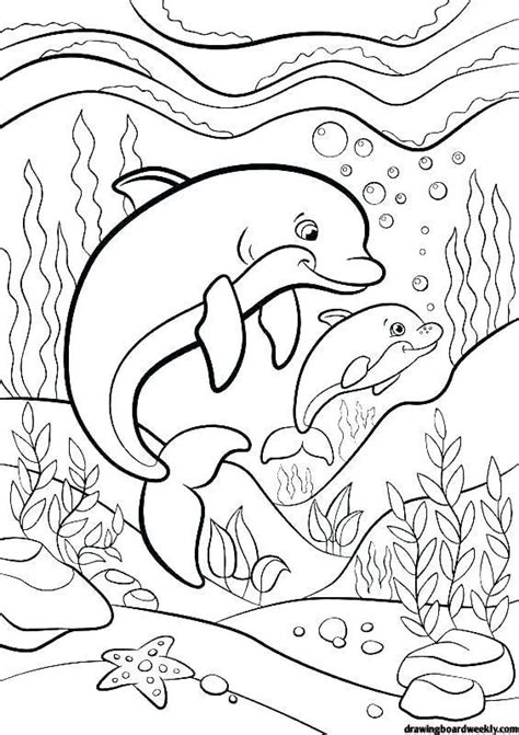 sea coloring pages dolphin coloring pages animal coloring