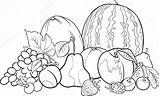 Blanco Verduras Frutta Colorare Grupo Izakowski Alimentos Caricatura Ilustracja Pintar Kolorowanka Grupa Vettoriali Getdrawings sketch template