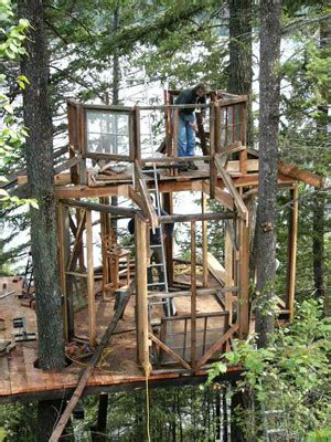 canim treehouse framing framing  treehouse   p flickr