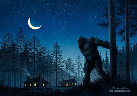 types  bigfootsasquatch sasquatch chronicles