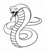 Snake Schlange Kobra Serpent Serpiente Pintura Schlangen Coloriage Dibujar Dessin Serpente Malen Serpientes Cobras Tiere Serpenti Königskobra Kingcobra Snakes Facile sketch template