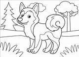 Husky sketch template