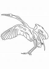 Egret Snowy Coloring sketch template