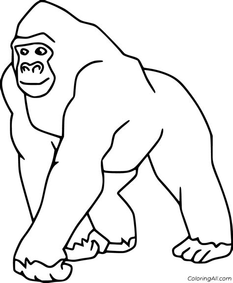 printable gorilla coloring pages easy  print   device