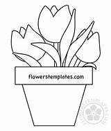 Vase Tulips Coloring Templates Pdf Flowerstemplates sketch template
