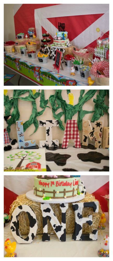 Farm Themed First Birthday Party Pretty My Party Party