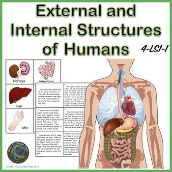 external  internal structures  humans  ls upper elementary science life science