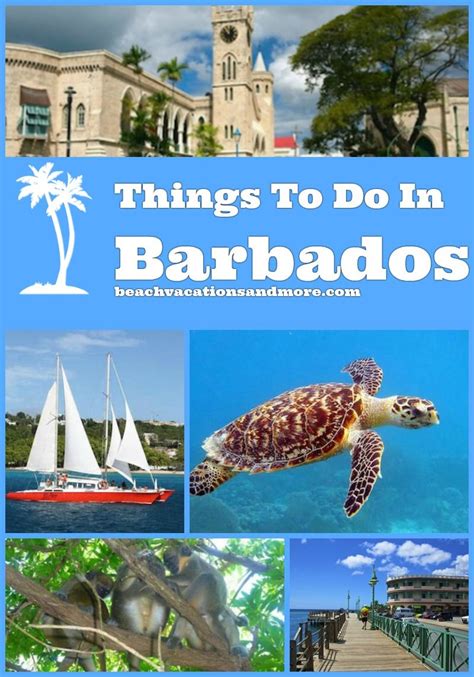 Fun Things To Do In Barbados In 2023 Barbados Travel Barbados