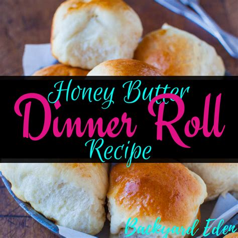 honey butter dinner roll recipe backyard eden