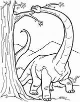 Dinosaur Dinosaurio Dinosaurios Diplodocus Comiendo Pintar Pekegifs Dinossauros Dinos Acessar Fichas Brachiosaurus sketch template