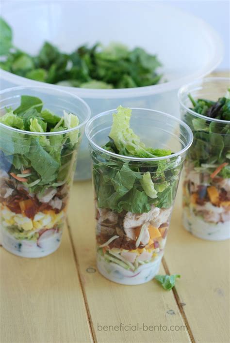 salad cups  portable mason jar salad beneficial bento