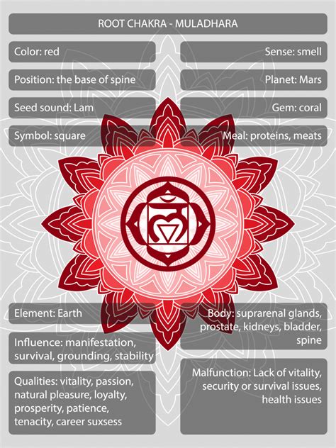 root chakra the first chakra