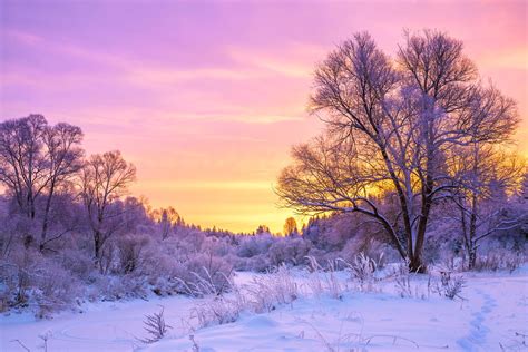 cold winter landscape  snow  sunset  health