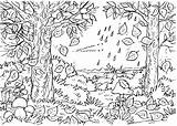 Bosque Colorear Naturaleza sketch template