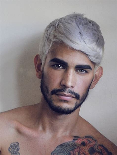 amazing gray hairstyles  men feed inspiration