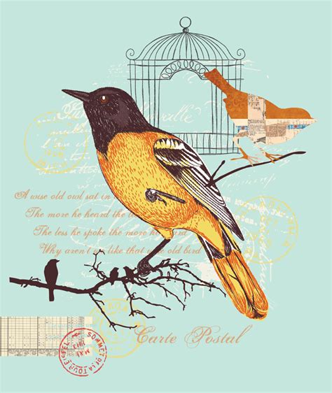 emily kiddy bird inspired prints trend springsummer  part