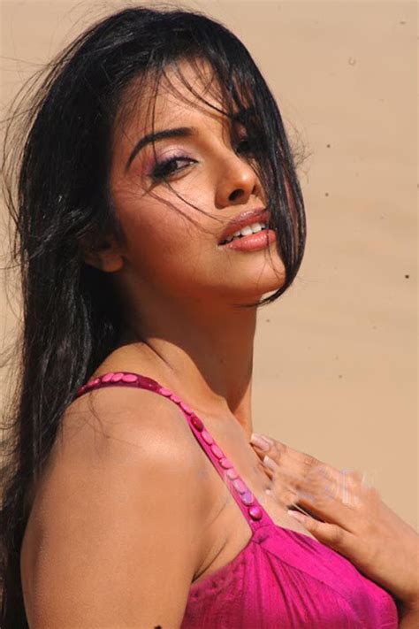 asin hot bollywood actress asin tamil hot actress photos pictures images wallpapers indian