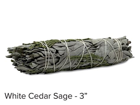 magic star sage white cedar sage  sweetgrass trading