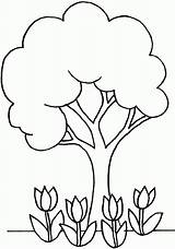 Drawing Baum Ausmalbilder Kindergarten Getdrawings Malvorlagen Little Coloringhome sketch template