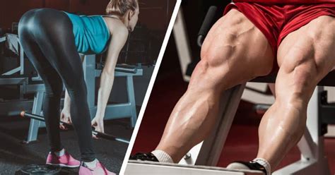 Is Varying Rep Ranges The Key To Building Bigger Legs