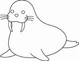 Walrus Clipart Clip Outline Animals Outlines Coloring Animal Drawing Pages Kids Cliparts Sheet Clipartbest Colouring Wikiclipart Library Presentations Projects Use sketch template
