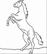 Horse Coloring Pages Horses Drawing Rearing Kids Printable Easy Morgan Getcolorings Color Getdrawings Clydesdale sketch template