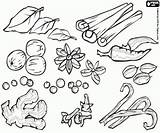 Spices Drawing Getdrawings Coloring Pages sketch template