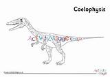 Coelophysis sketch template