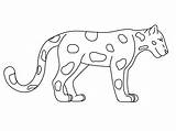 Jaguar Coloring Animal Kids Animals Pages Rainforest Drawing Printable Easy Cartoon Outline Realistic Drawings Jungle Grassland Draw Sheets Gambar Clipart sketch template