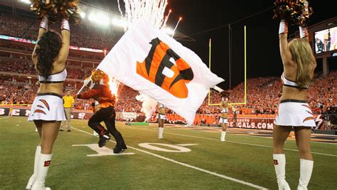 Sarah Jones Former Cincinnati Bengals Cheerleader Pleads