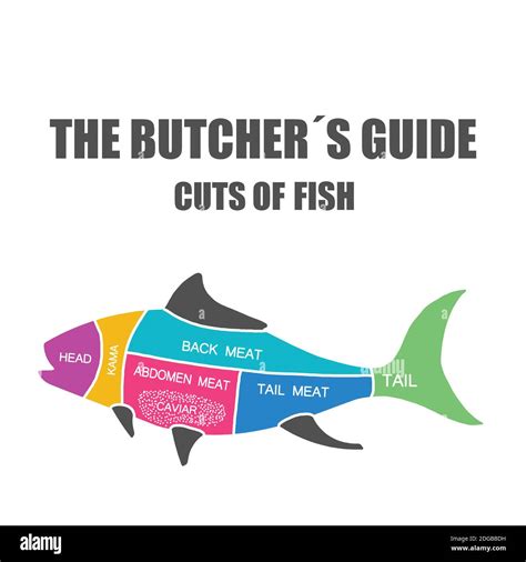 fish cut  meat butcher diagram schemem stock photo alamy