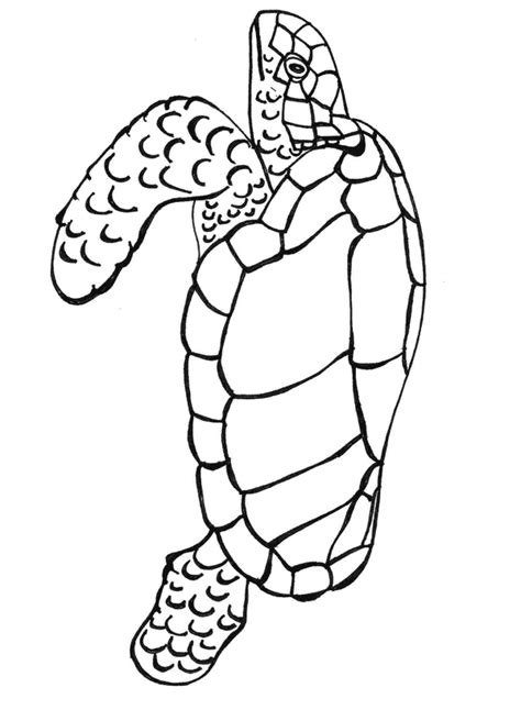 cartoon sea turtle pictures clipartsco