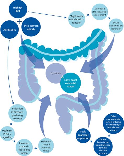 A Comprehensive Framework For Early Onset Colorectal Cancer Research