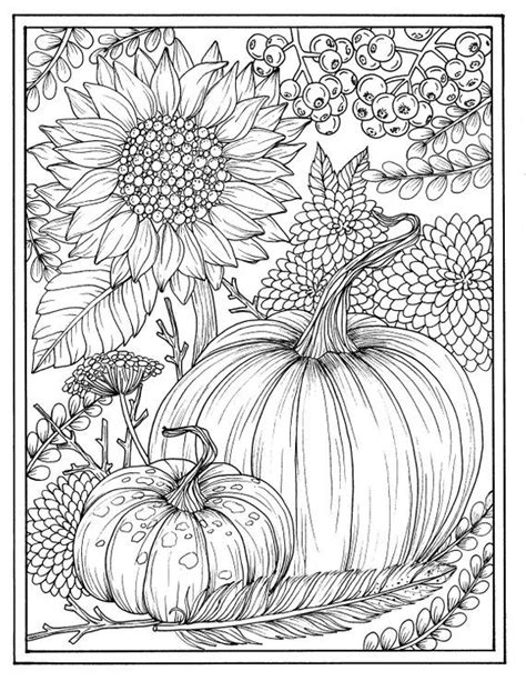 fall flowers  pumpkins digital coloring page thanksgiving mums