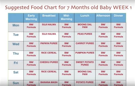 month baby food chart weekly meal plan   months