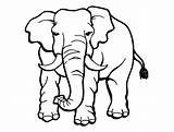 Coloring Elephants Pages Kids Print Simple Printable Animals sketch template