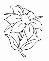 Coloring Flowers Pages Nature Flower sketch template