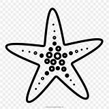Starfish Etoile Estrela Colorare Mewarnai Bintang Laut Immagini Pngdownload Buku Clipartkey sketch template