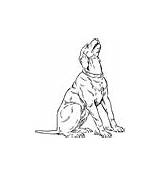 Coloring Dog Pages Kids Howling sketch template